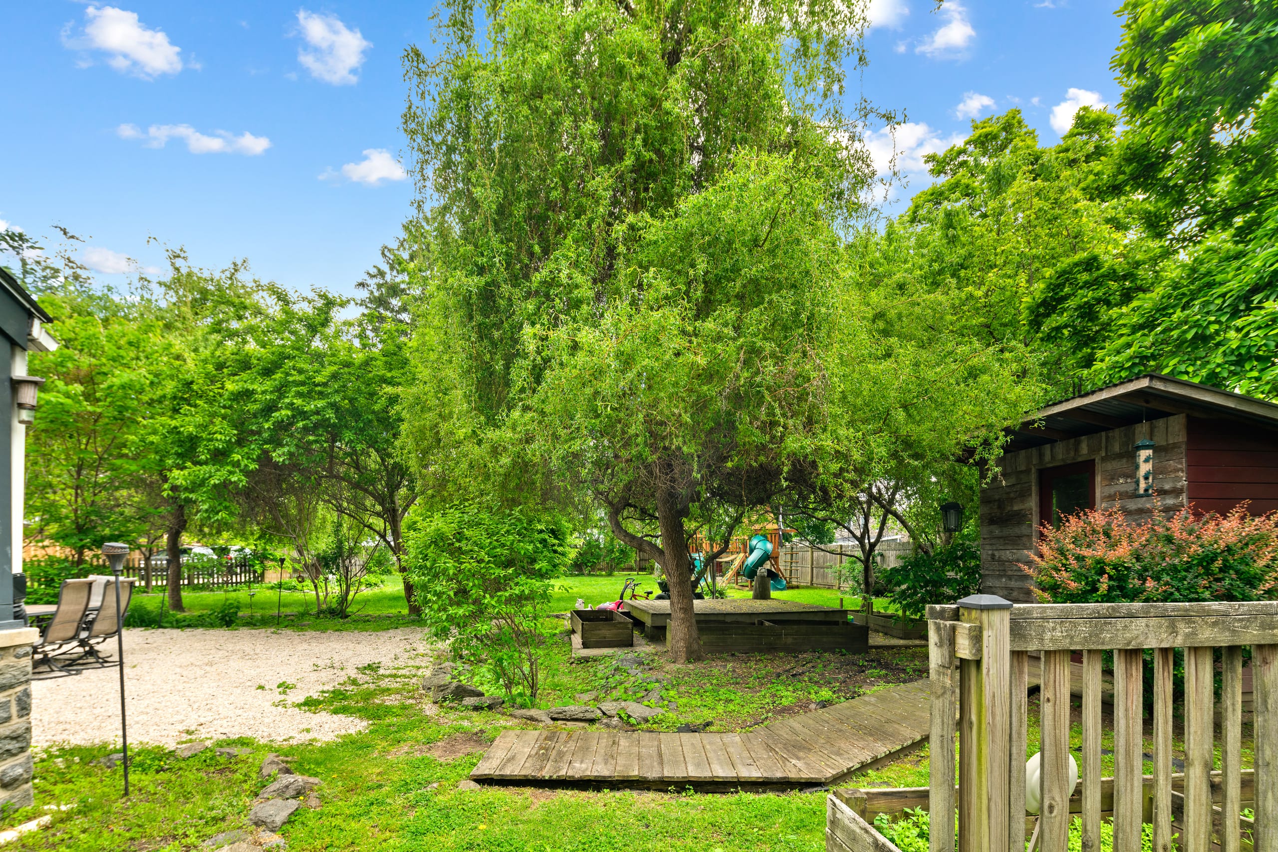 Garden shed beneath weeping willow